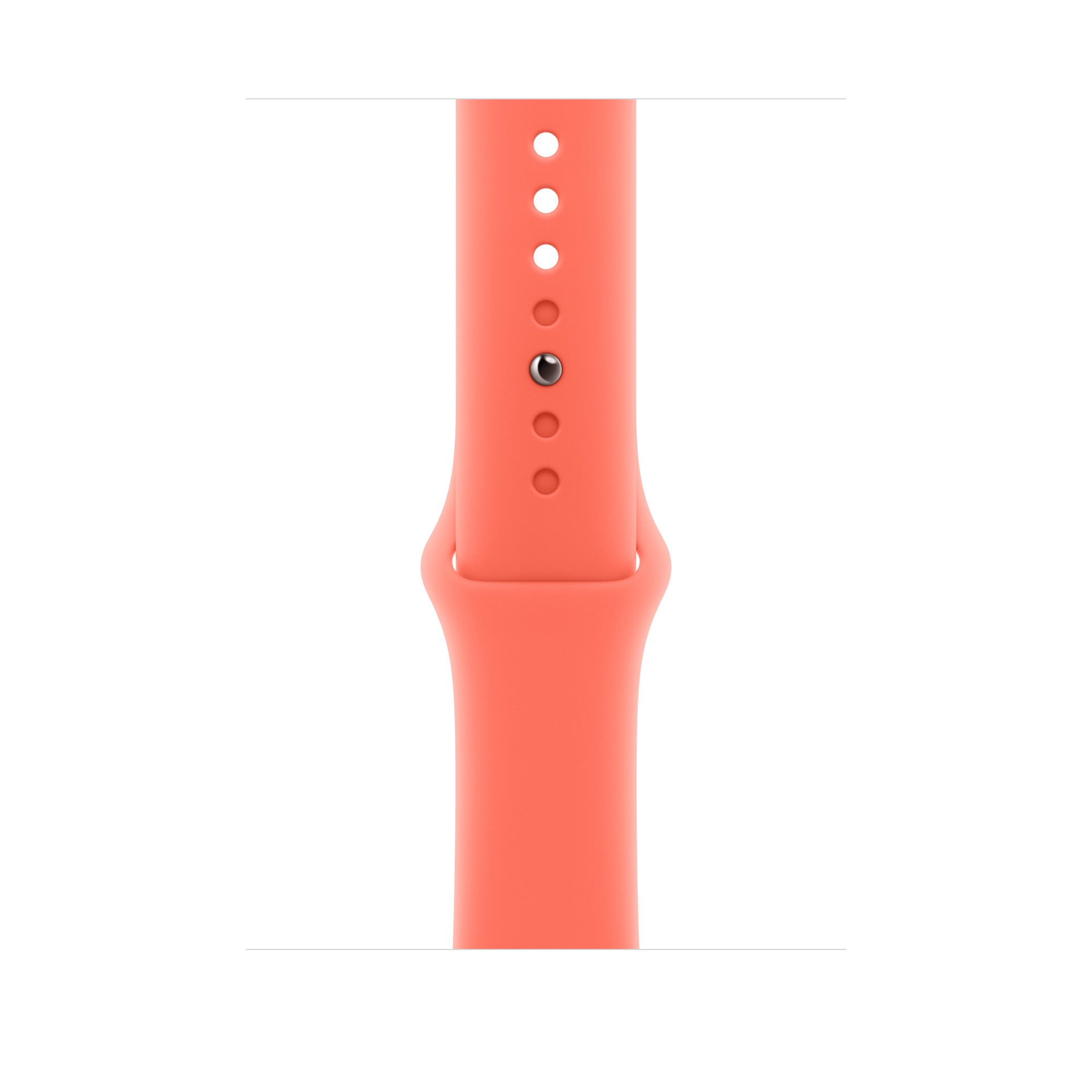 Sport Band-Watch Band